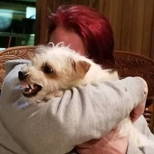 Meet your Posher, Tami